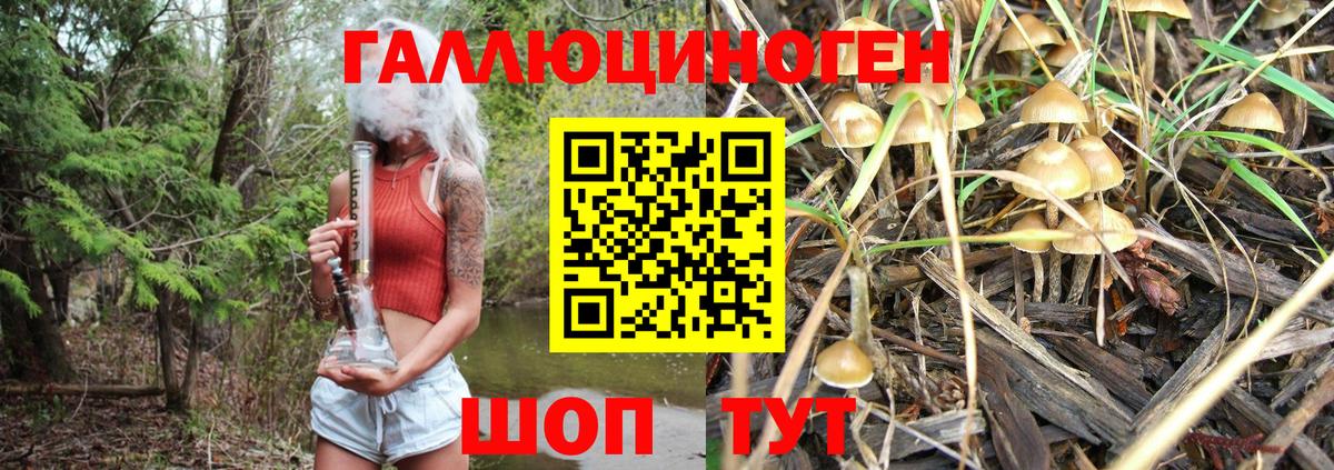Псилоцибиновые грибы мухоморы Дзержинский