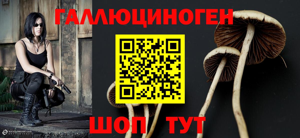 где продают   Вход с VPN  Дзержинский  Псилоцибиновые грибы Psilocybine cubensis 